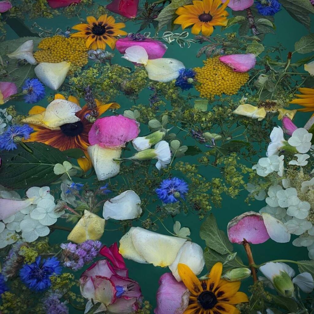 Photo of a floral bath  - one of the Ostara rituals