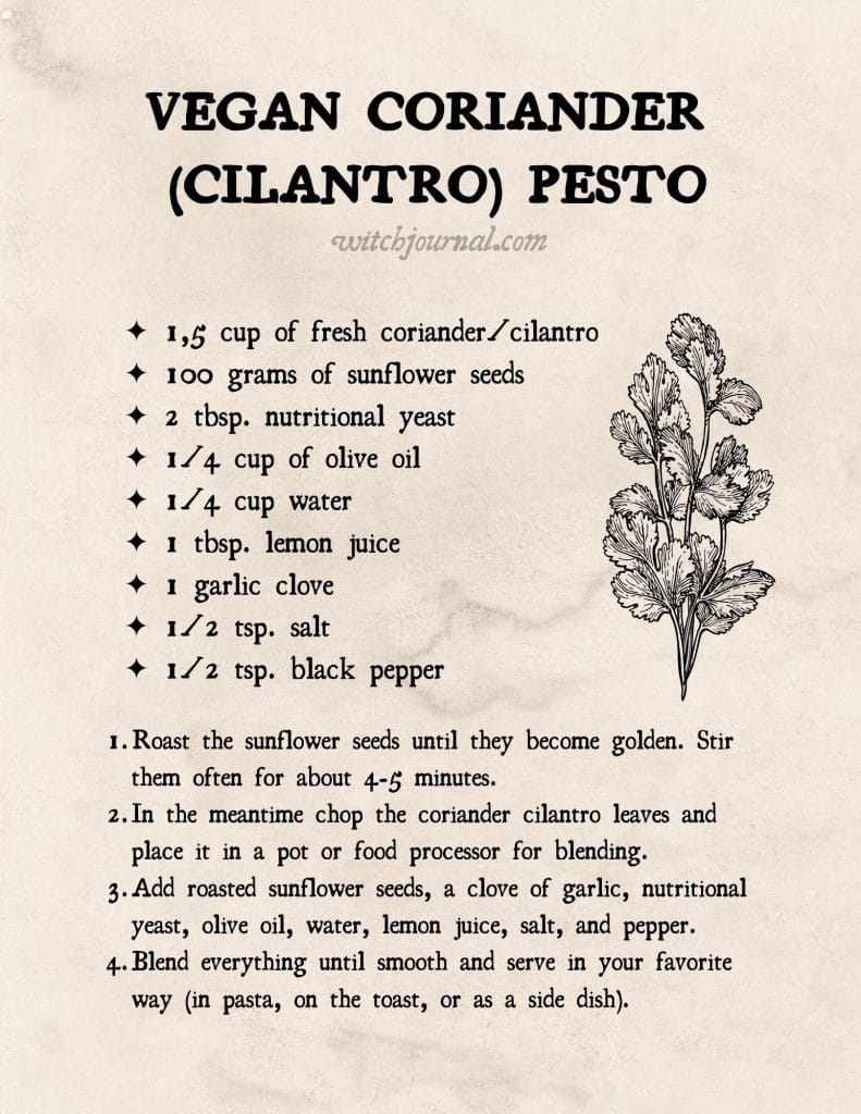 Illustration with Vegan Coriander Cilantro Pesto with Sunflower Seeds