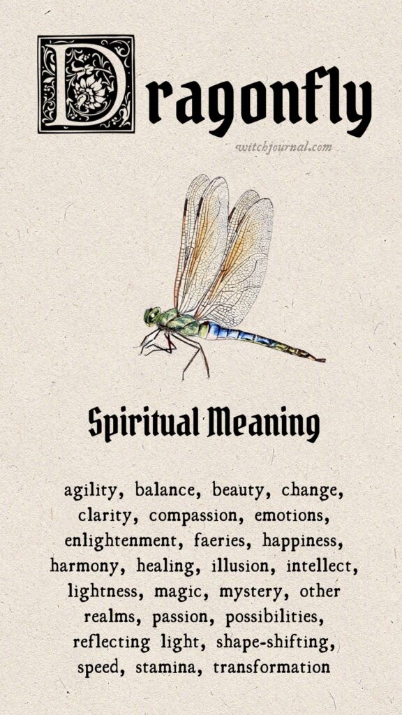 dragonfly spiritual meaning